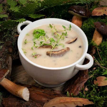 Zupa z grzybów leśnych